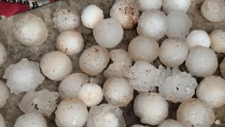 Şanlıurfa'da Kar Topu Gibi Dolu Yağışı: Tarımda Tahribat Riski!
