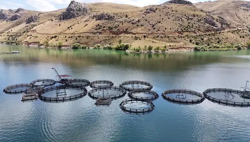 Denizi Olmayan Ülkede Balıkçılıkta Hedef 5 Bin Ton: İşte Detaylar