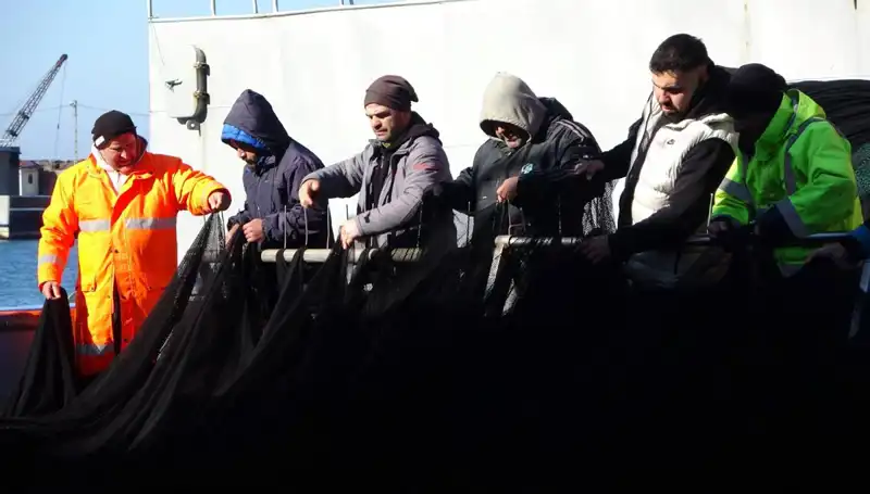 Denizlerde Hamsi Avı Beklenmedik Şekilde Sonlandı: Balıkçıların Erken Paydosu