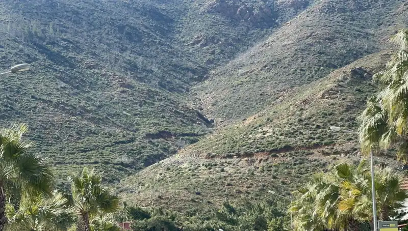 Marmaris Yangınından Sonra Doğaya Yeniden Hayat Verildi