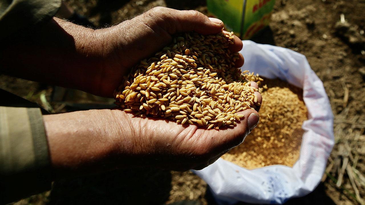 Ata Tohumları Tarım Kredi Marketlerinde