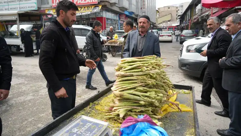 Dağlık Alanların Şeker ve Kanserle Mücadeledeki Sırrı: Geleneksel Bitkilerin Gücü