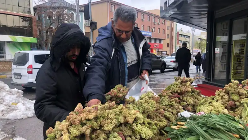 Kendiliğinden Yetişen Besin, Kanserin Yeni İlaçı Olabilir mi?