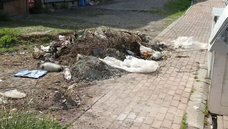 Antalya'da Kedi Katliamı: 10 Masum Hayvan Ölü Bulundu