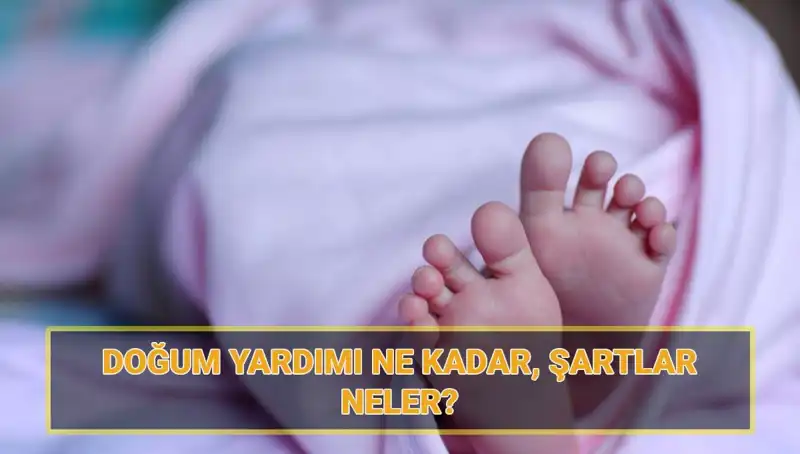 2025 Doğum Yardımı Başvuruları Başladı! Çocuk Parası Miktarı ve Şartları Neler?