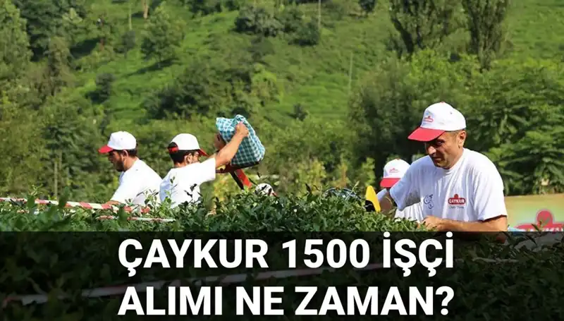 Çaykur İşçi Alımı: Başvuru Tarihleri ve Süreç Hakkında Detaylar