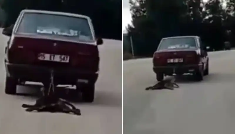 Otomobilin Arkasında Sürüklenen Köpek: Şok Eden Görüntüler!