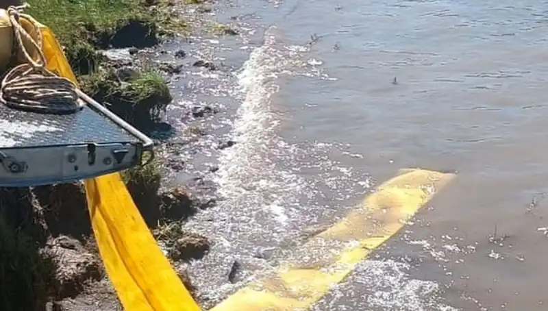 Göletlere Yeni Hayat: Yavru Balıklar Doğayla Buluştu!