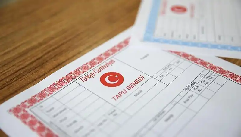 Hisseli Tapu Tuzağında 100 Milyonluk Çarkın Gerçekleri Ortaya Çıktı