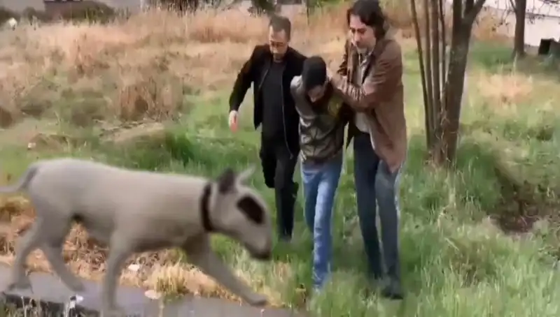 430 Bin Liralık Şampiyon Köpeğin Hırsızı Emniyet Tarafından Yakalandı