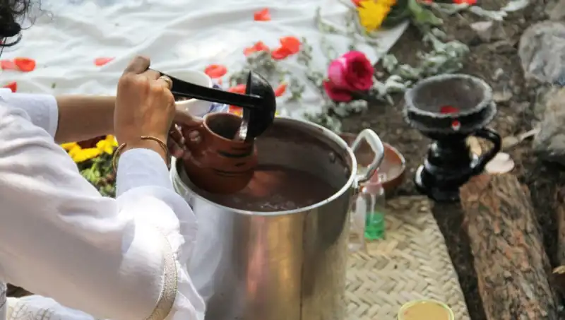 Ayahuasca: Faydaları, Yasal Durumu ve Deneyimlerin Derinlikleri