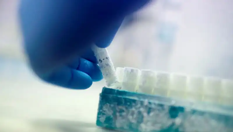 85 Sperm Donörü: Tıbbın Karanlık Yüzü ve Ebeveynlik İddiaları