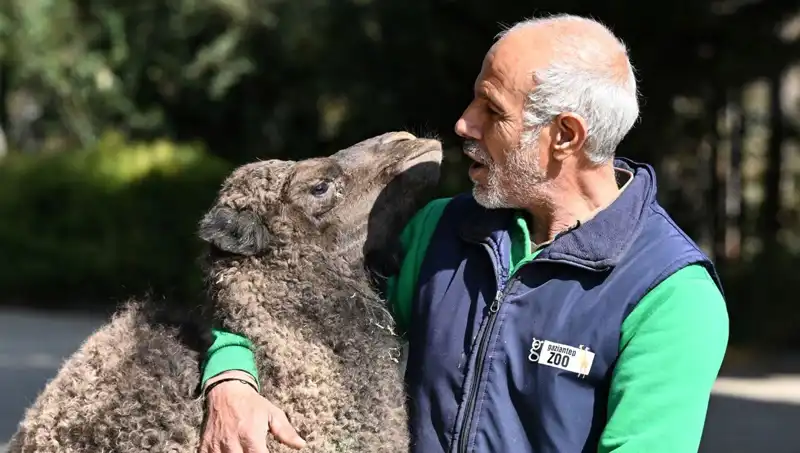 Boncuk’un Beslenme Hikayesi: Herbir Damlası Anne Hassasiyetiyle Şekilleniyor