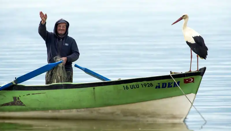 Yaren Leylek Geldi mi? Leylekler Ne Zaman Dönüyor, Bilmiyoruz!